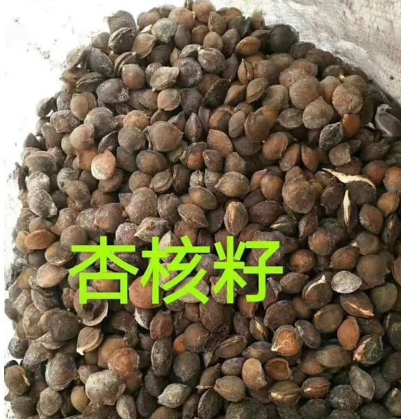黑龙江公主岭各种树种子供应价格
